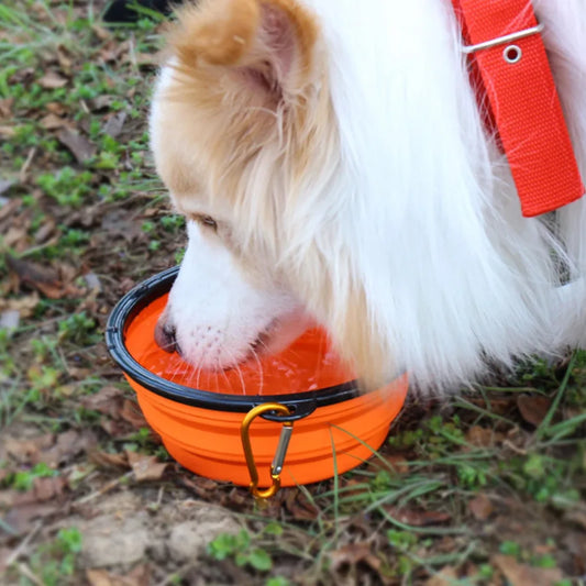 OutbackPaw™ Collapsible Dog Bowl